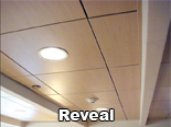View Reveal Metal Tile  Ceiling Products