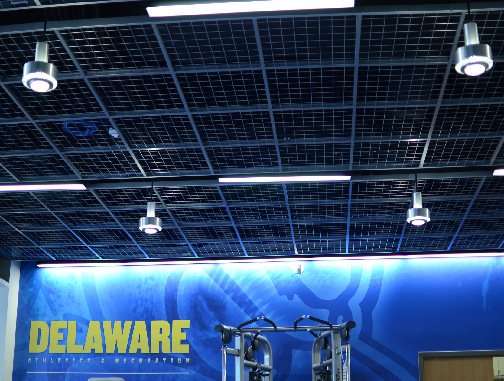 WireFrame Welded Wire Ceiling Panels
